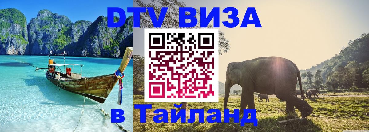 Сколько стоит DTV виза — актуальные цены, оформление даже без документов - 19.11.2025 